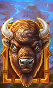 Buffalo Gold Canyon
