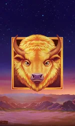 Buffalo's Sun 2
